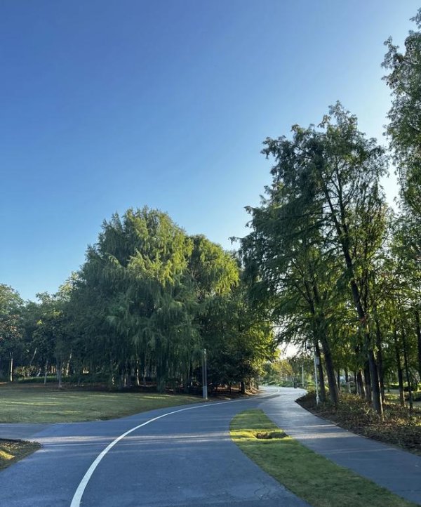 鹏配资 跑步不止于健康，是中年人对抗岁月侵袭最后的但也是最倔强的武器