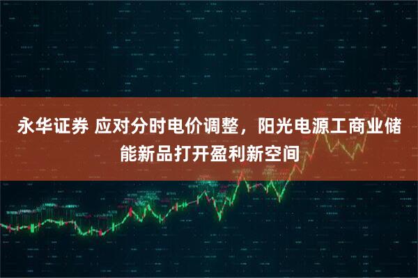 永华证券 应对分时电价调整，阳光电源工商业储能新品打开盈利新空间