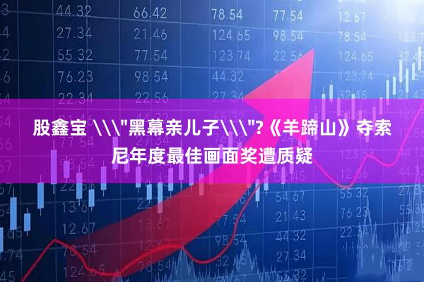 股鑫宝 \＂黑幕亲儿子\＂?《羊蹄山》夺索尼年度最佳画面奖遭质疑