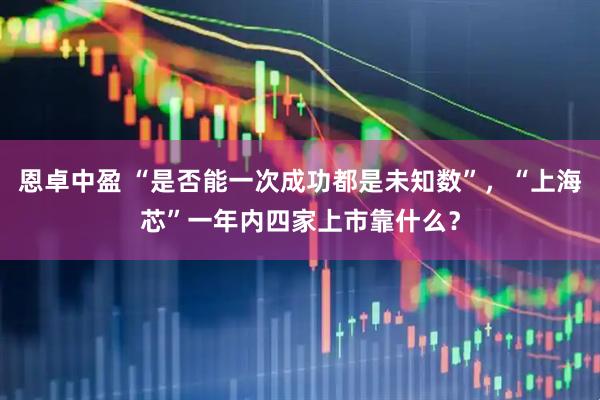 恩卓中盈 “是否能一次成功都是未知数”，“上海芯”一年内四家上市靠什么？